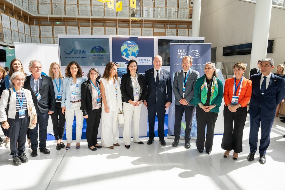 The Monk Seal Alliance joins forces with the Natural Environment and Climate Change Agency (NECCA) to strengthen conservation action in Greece