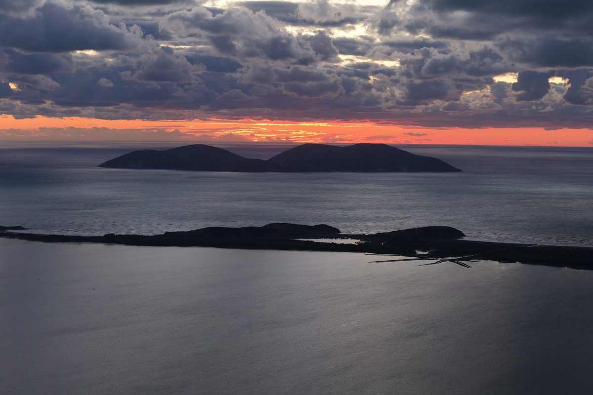 Suspension of Any Construction Initiatives on Sazan Island Due to the Threat to Protected Species and the Area’s Natural and Cultural Heritage
