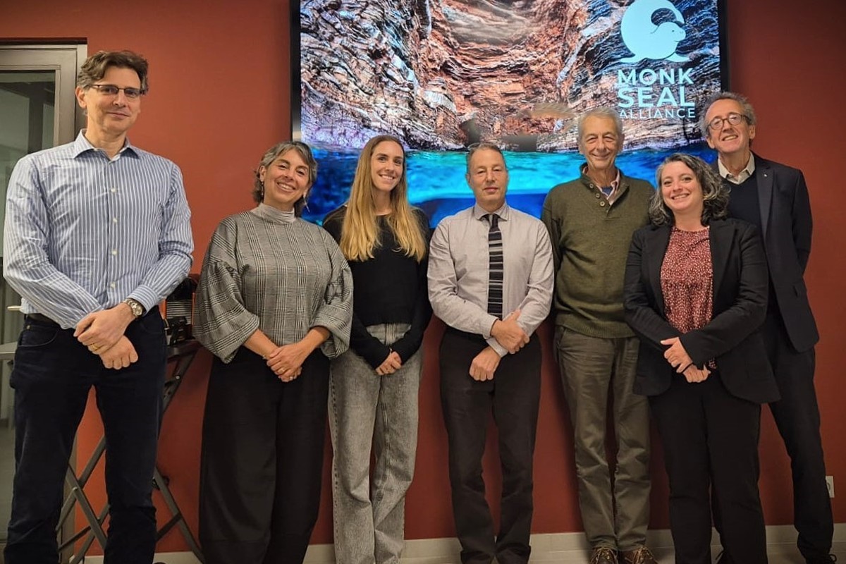 Le Comité de pilotage de la MSA réuni à Genève