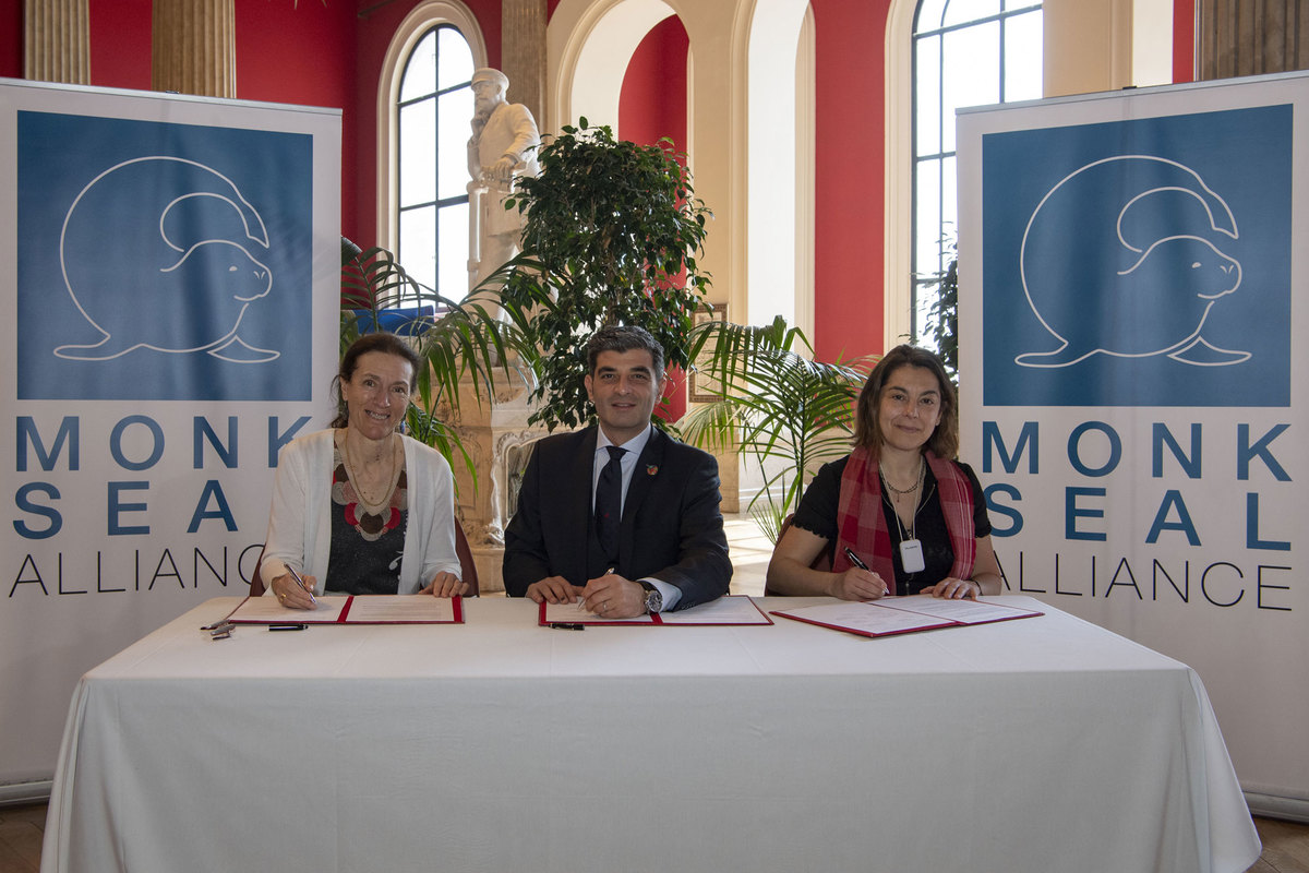 Les membres de la MSA renouvellent leur engagement pour la protection du Phoque Moine de Méditerranée