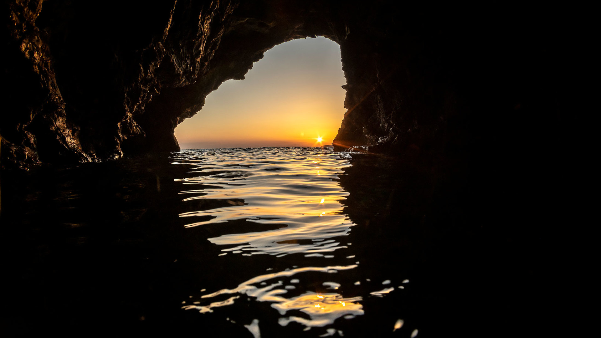 Monk seal protection in the Eastern Mediterranean