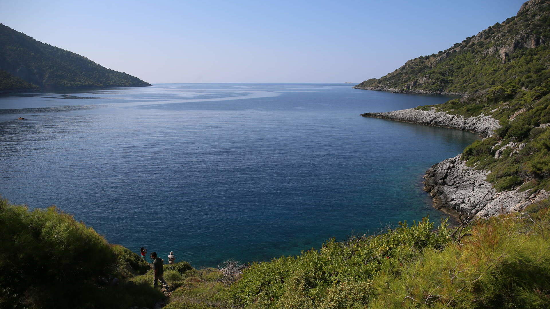 Conservation of monk seal & its habitats along Muğla and Antalya provincial coasts in turkey through concrete actions