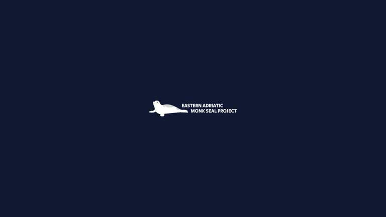 Eastern Adriatic Monk Seal Project (Phases I and II)