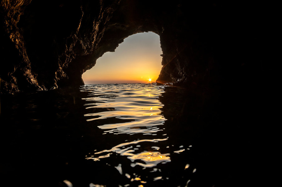 Monk seal protection in the Eastern Mediterranean